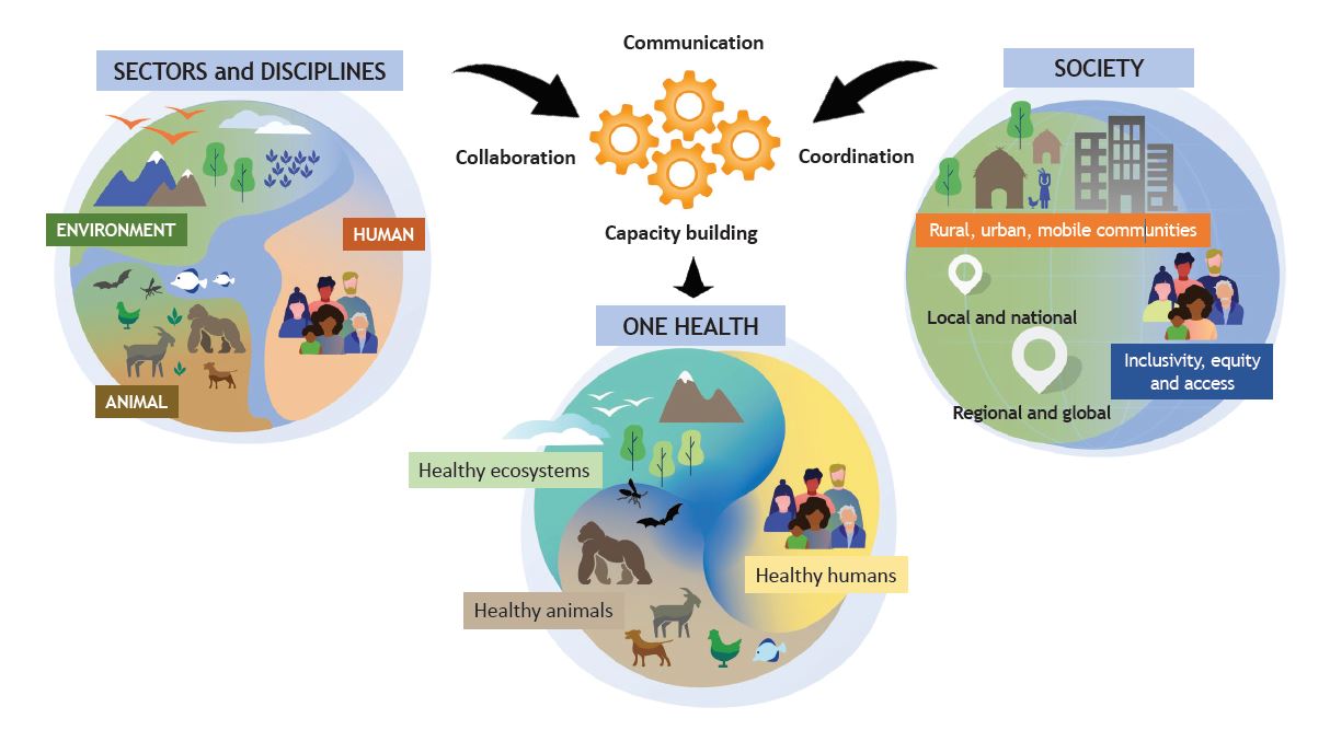 schematic showing one health approach to disease outbreak management